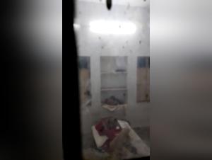 woman and dog forbidden meeting