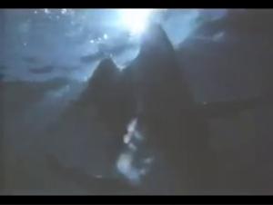 Unveiling an Unusual Encounter