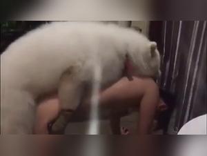 Woman and dog: a beastly encounter