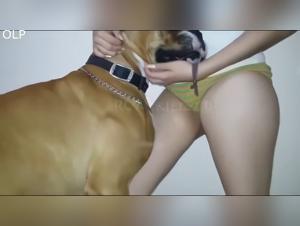 Fortalecer la intimidad mediante las ligas caninas