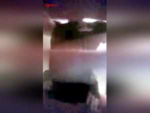 Unveiling the ArtofZoo Realm