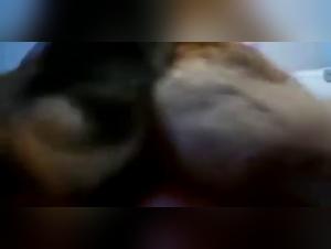 Bestiality sex video: Amador and his dog