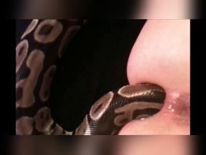 Forbidden meeting: woman and snake