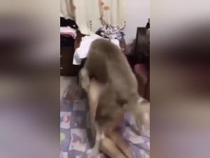 Forbidden Intimacy: Man and His Best Friend