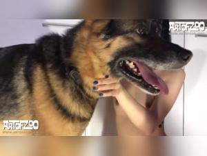 A shocking bestial encounter: sex with a dog on ArtofZoo