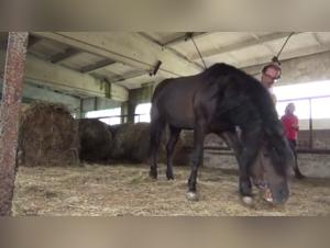 Masha's Intimate Moments with Her Canine Companion