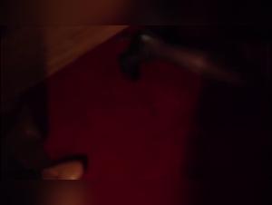 Bestiality: A submissive woman and her canine master