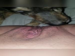 Dog and BBW in a bestiality sex video