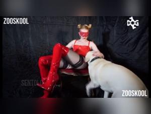 Bestiality with a red-haired woman and a dog