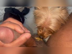 Macy Love and her bestial adventure