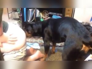 Esposa amateur y su mejor amigo de cuatro patas: una impactante escena de bestialidad