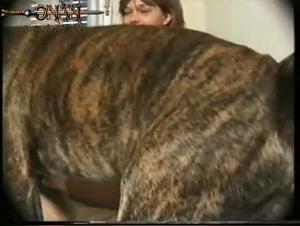 Woman and dog: a bestial and intense encounter