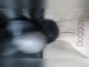 Woman and dog: a video of bestial zoophilia