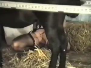 Woman and horse: a beastly encounter