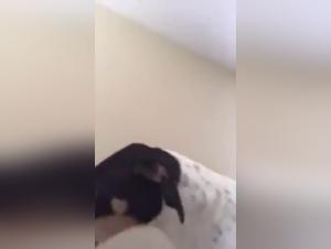 Teen Secrets: A Forbidden Experience