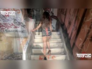 Pasiones Prohibidas: Zoofilia Desatada