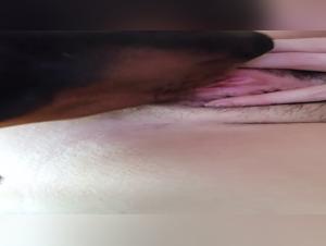 Forbidden Meeting: Woman and Dog