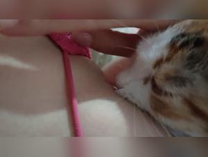 forbidden desires explored