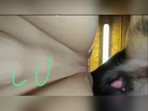 Woman and dog: a shocking zoophilia video