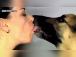 Primal Animal Instincts