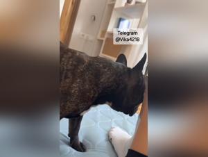 Navigating Ethical Grey Areas