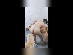 The Two Asian Women Get Banged by Giant Dogs in an Intense Porn Video