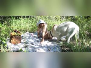 Woman and Her Canine Companion: An Intimate Look