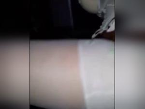 Intimate Video with a Dog