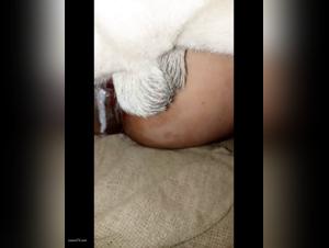 woman dog indian bengali