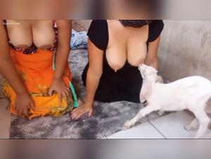 Pushing Boundaries: Exploring Bestial Desire