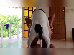 Bestiality: a woman and her dog in a shocking video