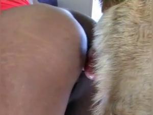 Bestiality sex video: Blonde and brunette with a lucky dog