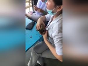 Woman and cat: a beastly encounter