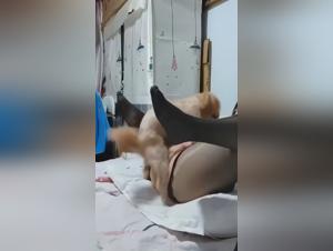 forbidden desires: alisonprod's zoo