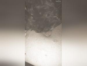 Exploring ArtofZootography: Boundaries & Desire