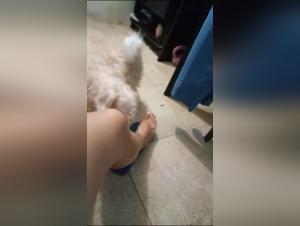 Dog Sex Video: Woman and Dog in Extreme Bestiality Scene