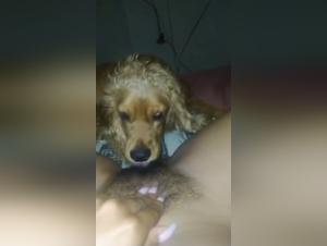 Bestialidad: Latina y su perro