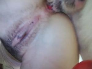 Decryptage de la Zoophilie: Un Regard Historique