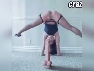 Zoophilia Videos: Enjoy Canine Treats