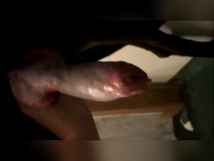 Woman and dog in a hard bestiality scene