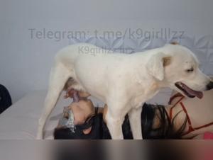 Un hombre cai con su mujer perro: una experiencia sexual inolvidable