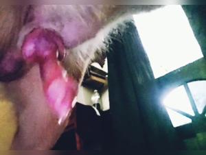 Dog sex video: an intense and unique experience