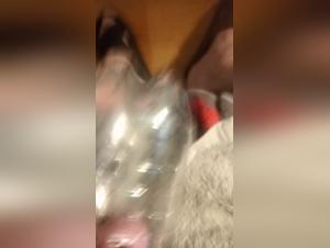 Zoophilia videos: discover unique sexual experiences