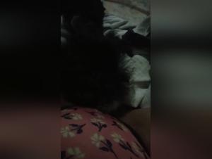 Woman and dog: a beastly video