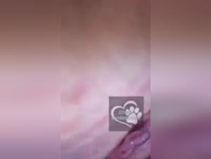 A beastly surprise in the bedroom