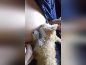 Woman and dog: a beastly love story