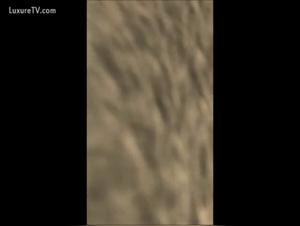 Anhelo Prohibido: Placer Bestial Sin Limites