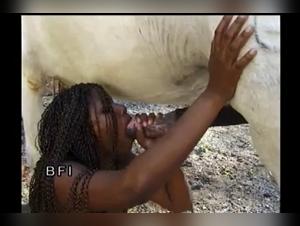 Brazilian women and horses in bestiality videos