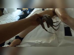 The OctoPup's Seducing Act in the Office