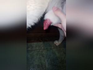 my first time bestial experience